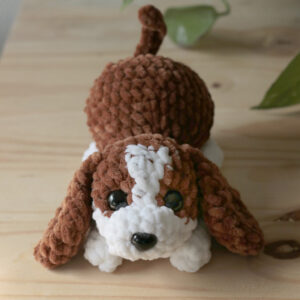 Chiot